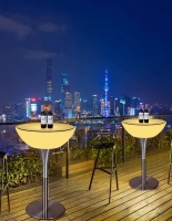 Комплект светящейся мебели Стол+2 стула V1